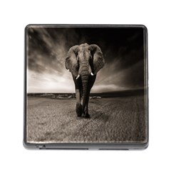 Elephant Black And White Animal Memory Card Reader (square) by Celenk