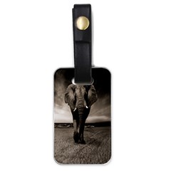 Elephant Black And White Animal Luggage Tags (one Side)  by Celenk