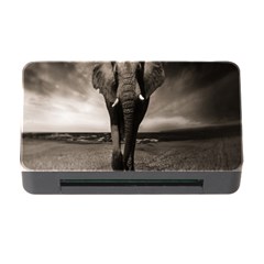 Elephant Black And White Animal Memory Card Reader With Cf by Celenk