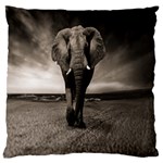 Elephant Black And White Animal Large Cushion Case (Two Sides) Front