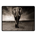 Elephant Black And White Animal Double Sided Fleece Blanket (Small)  45 x34  Blanket Front