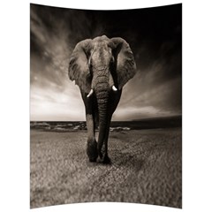 Elephant Black And White Animal Back Support Cushion