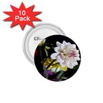 Dahlias Dahlia Dahlia Garden 1.75  Buttons (10 pack) Front