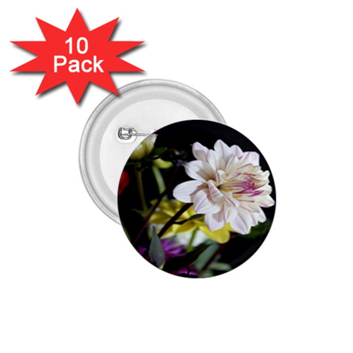 Dahlias Dahlia Dahlia Garden 1.75  Buttons (10 pack)