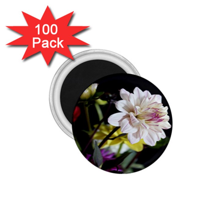 Dahlias Dahlia Dahlia Garden 1.75  Magnets (100 pack) 