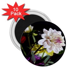 Dahlias Dahlia Dahlia Garden 2 25  Magnets (10 Pack)  by Celenk