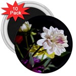 Dahlias Dahlia Dahlia Garden 3  Magnets (10 pack)  Front