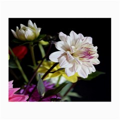 Dahlias Dahlia Dahlia Garden Small Glasses Cloth