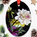 Dahlias Dahlia Dahlia Garden Oval Ornament (Two Sides) Front