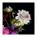 Dahlias Dahlia Dahlia Garden Medium Glasses Cloth (2-Side) Front