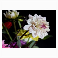 Dahlias Dahlia Dahlia Garden Large Glasses Cloth