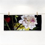 Dahlias Dahlia Dahlia Garden Cosmetic Storage Cases Front