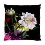 Dahlias Dahlia Dahlia Garden Standard Cushion Case (Two Sides) Front