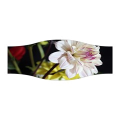 Dahlias Dahlia Dahlia Garden Stretchable Headband