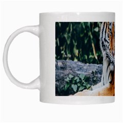 Animal Big Cat Safari Tiger White Mugs by Celenk