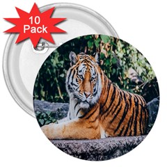 Animal Big Cat Safari Tiger 3  Buttons (10 Pack)  by Celenk