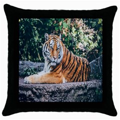 Animal Big Cat Safari Tiger Throw Pillow Case (black) by Celenk