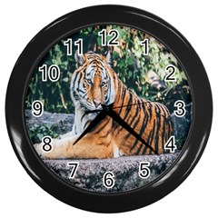 Animal Big Cat Safari Tiger Wall Clocks (black) by Celenk