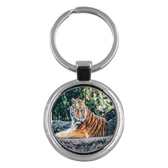 Animal Big Cat Safari Tiger Key Chains (round)  by Celenk