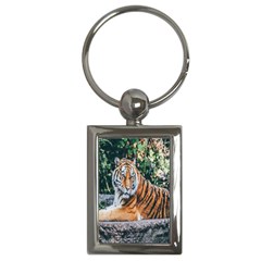 Animal Big Cat Safari Tiger Key Chains (rectangle)  by Celenk