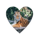 Animal Big Cat Safari Tiger Heart Magnet Front