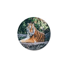 Animal Big Cat Safari Tiger Golf Ball Marker by Celenk