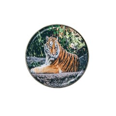 Animal Big Cat Safari Tiger Hat Clip Ball Marker (10 Pack) by Celenk