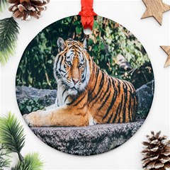 Animal Big Cat Safari Tiger Round Ornament (two Sides) by Celenk