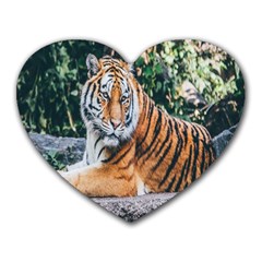 Animal Big Cat Safari Tiger Heart Mousepads by Celenk