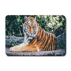 Animal Big Cat Safari Tiger Small Doormat  by Celenk