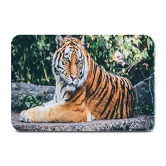 Animal Big Cat Safari Tiger Plate Mats by Celenk