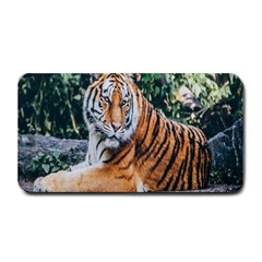 Animal Big Cat Safari Tiger Medium Bar Mats by Celenk