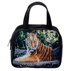 Animal Big Cat Safari Tiger Classic Handbags (one Side) by Celenk