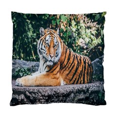 Animal Big Cat Safari Tiger Standard Cushion Case (one Side) by Celenk