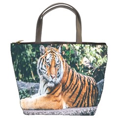 Animal Big Cat Safari Tiger Bucket Bags by Celenk