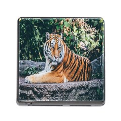 Animal Big Cat Safari Tiger Memory Card Reader (square) by Celenk