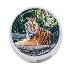 Animal Big Cat Safari Tiger 4-port Usb Hub (two Sides)  by Celenk