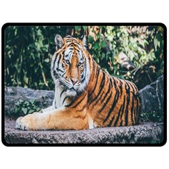 Animal Big Cat Safari Tiger Fleece Blanket (large)  by Celenk