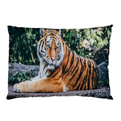 Animal Big Cat Safari Tiger Pillow Case (two Sides) by Celenk