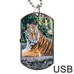 Animal Big Cat Safari Tiger Dog Tag Usb Flash (one Side) by Celenk