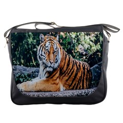 Animal Big Cat Safari Tiger Messenger Bags by Celenk