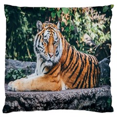 Animal Big Cat Safari Tiger Large Cushion Case (two Sides) by Celenk