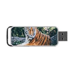 Animal Big Cat Safari Tiger Portable Usb Flash (two Sides) by Celenk