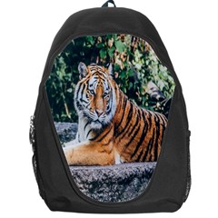 Animal Big Cat Safari Tiger Backpack Bag by Celenk