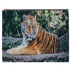 Animal Big Cat Safari Tiger Cosmetic Bag (xxxl)  by Celenk