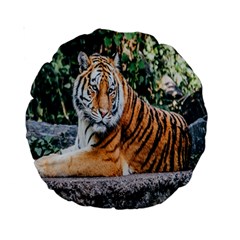 Animal Big Cat Safari Tiger Standard 15  Premium Round Cushions by Celenk