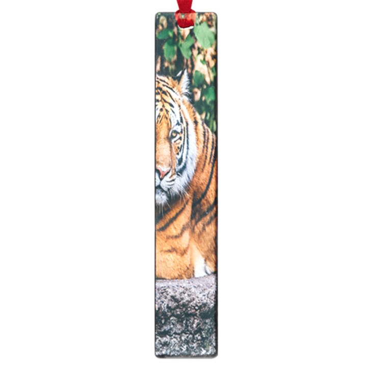 Animal Big Cat Safari Tiger Large Book Marks