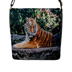 Animal Big Cat Safari Tiger Flap Messenger Bag (l)  by Celenk