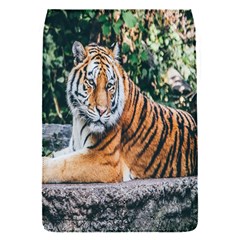 Animal Big Cat Safari Tiger Flap Covers (s)  by Celenk