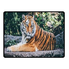 Animal Big Cat Safari Tiger Double Sided Fleece Blanket (small)  by Celenk